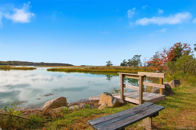 a view of a lake with a mountain in the background