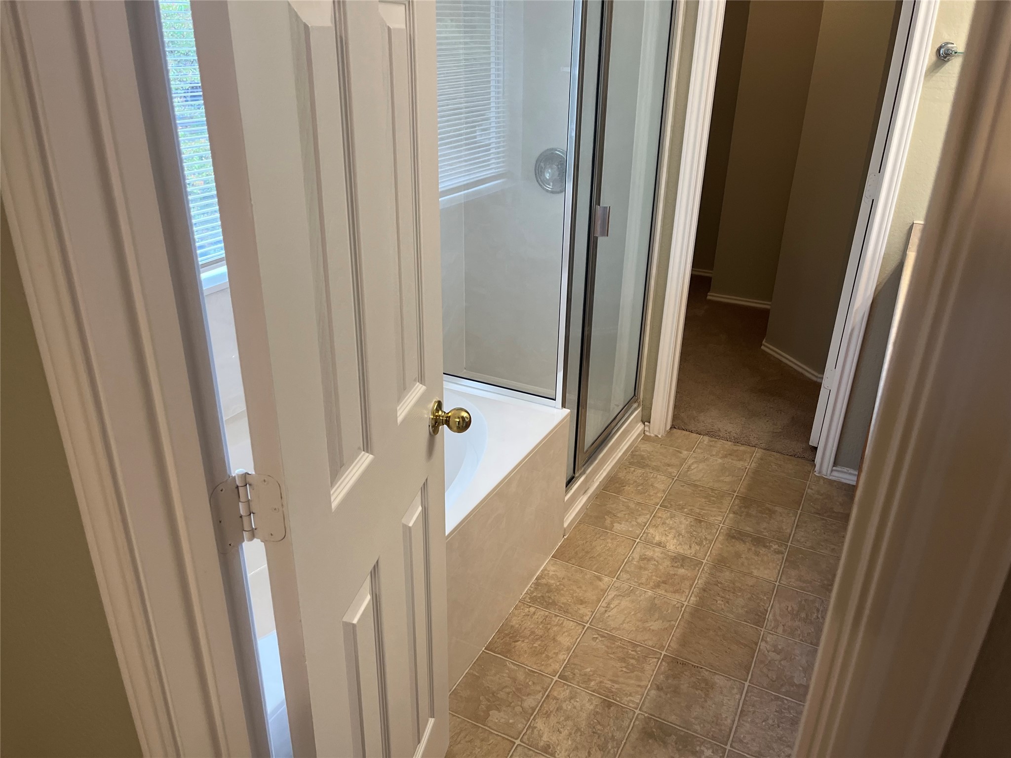 694 Hogan Kyle, TX 78640 - Photo 11 of 20 Bathroom featuring a shower stall and a bath