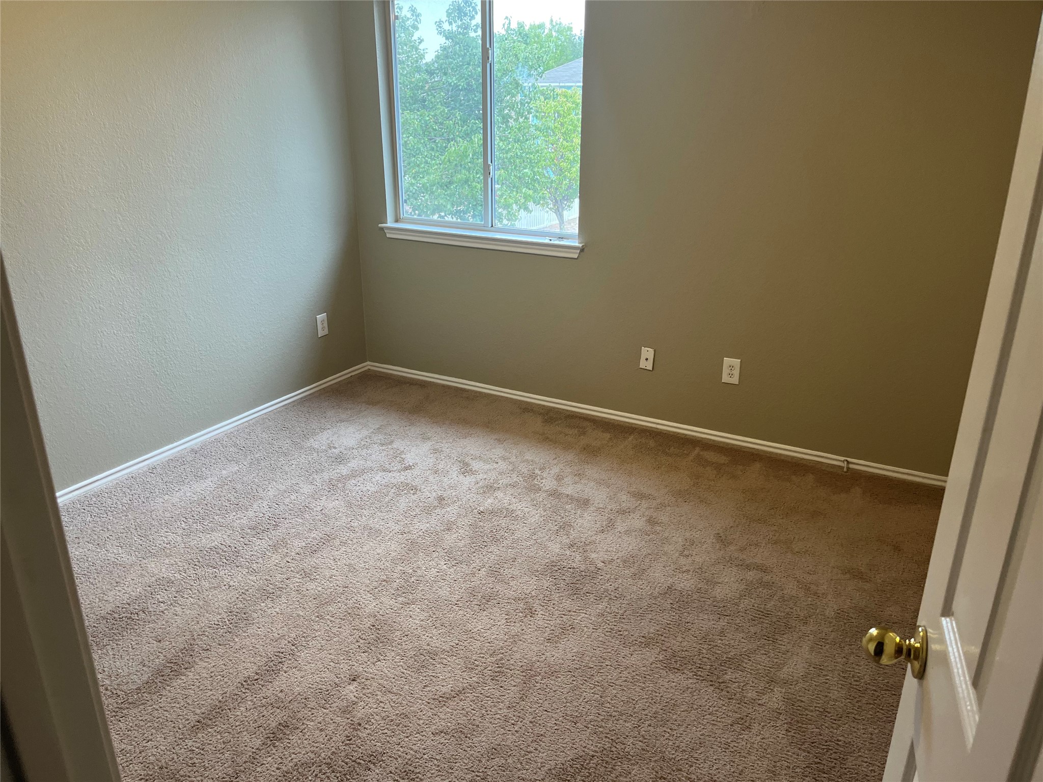 694 Hogan Kyle, TX 78640 - Photo 13 of 20 Unfurnished room with carpet flooring and a textured wall
