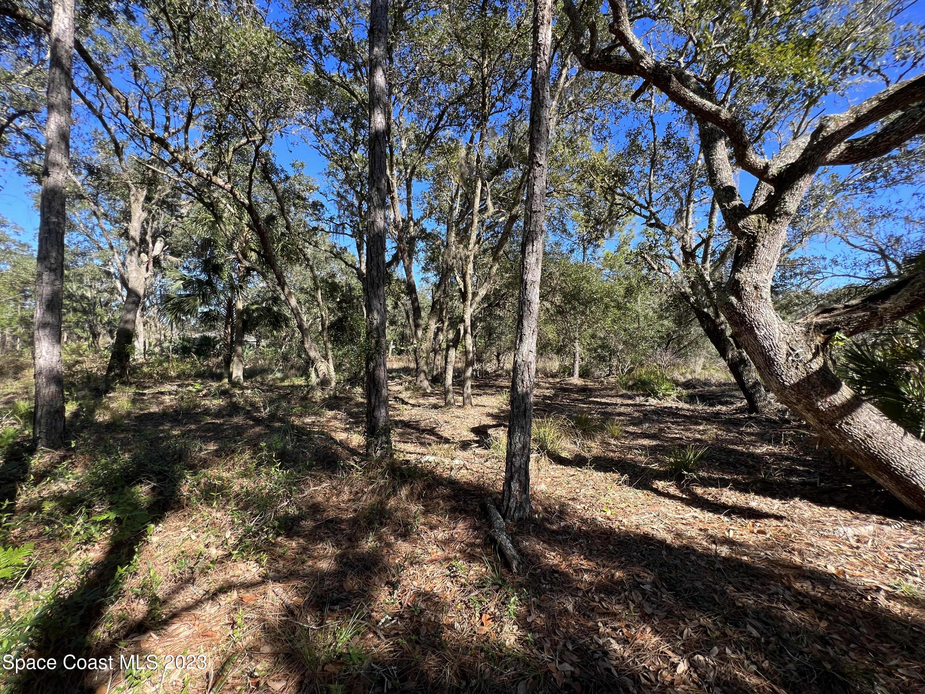 1665 Arch Road Mims, FL 32754 - Photo 11 of 22 EEA73895-236E-4AEA-AA5C-22392D82F909