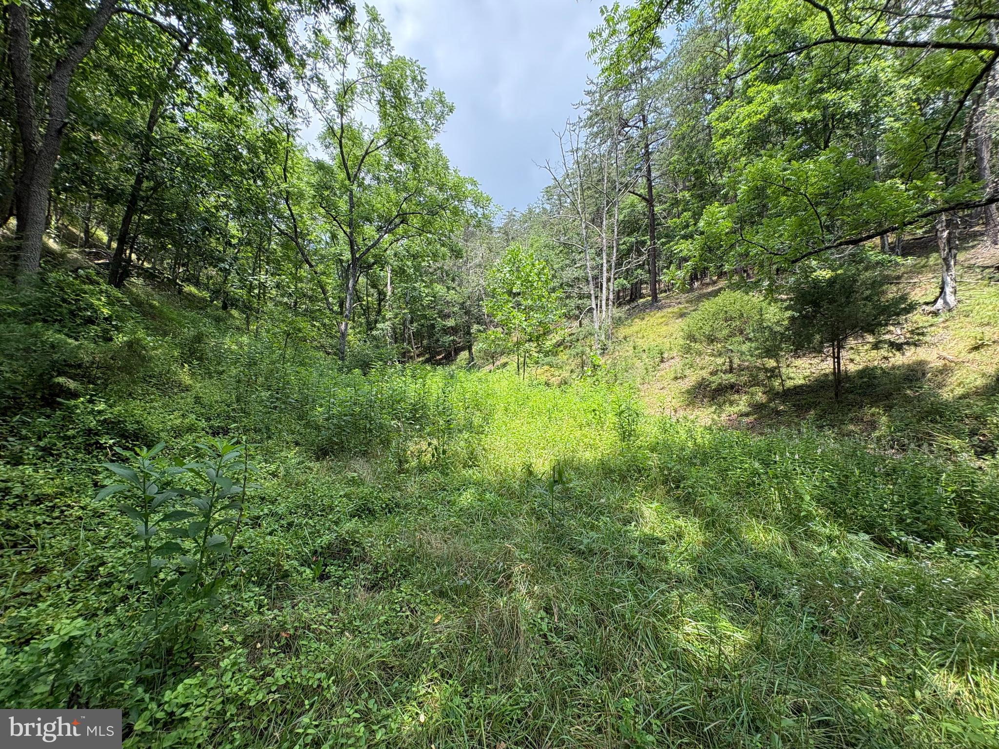 7313 Little Cacapon Road Romney, WV 26757 - Photo 18 of 18