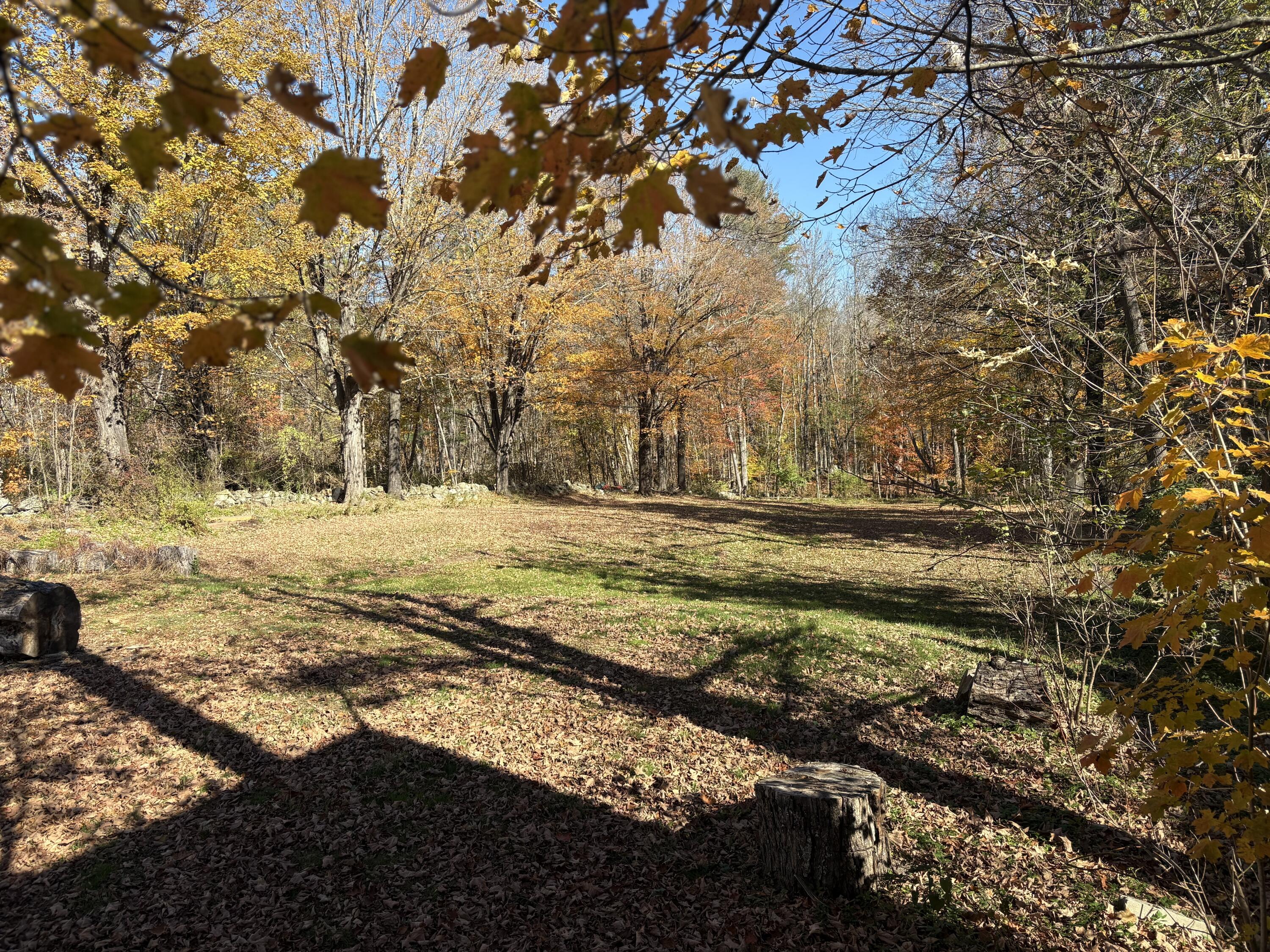 33 High Street Buckfield, ME 04220 - Photo 4 of 45
