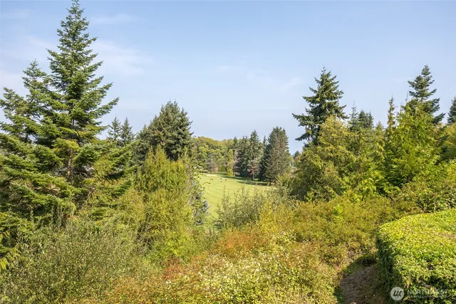 a view of a yard with plants and large trees