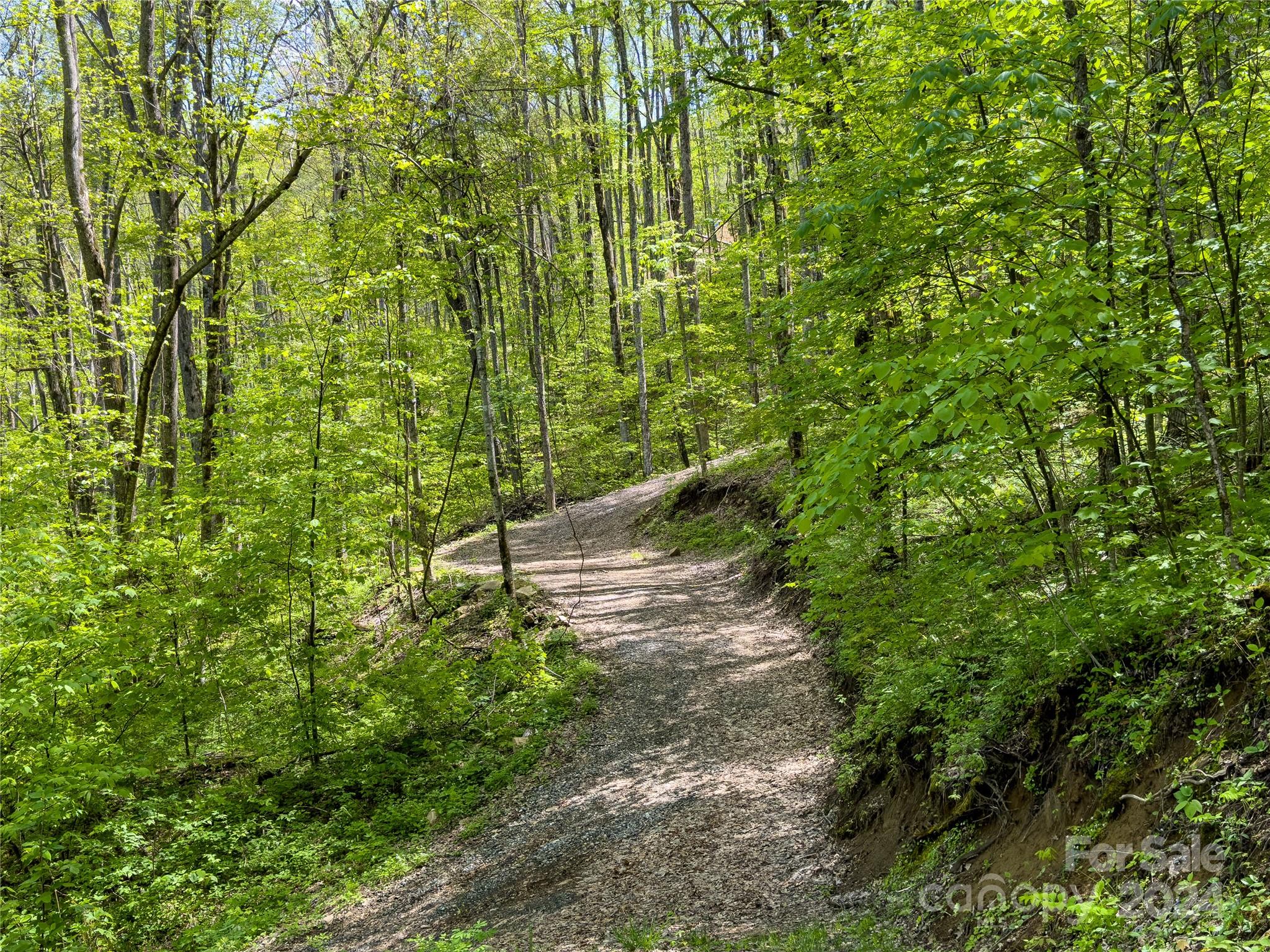 Lot 74 Black Rock Road, Unit 74 Cherokee, NC 28719 - Photo 11 of 24 a backyard of a house with lots of green space and trees all around