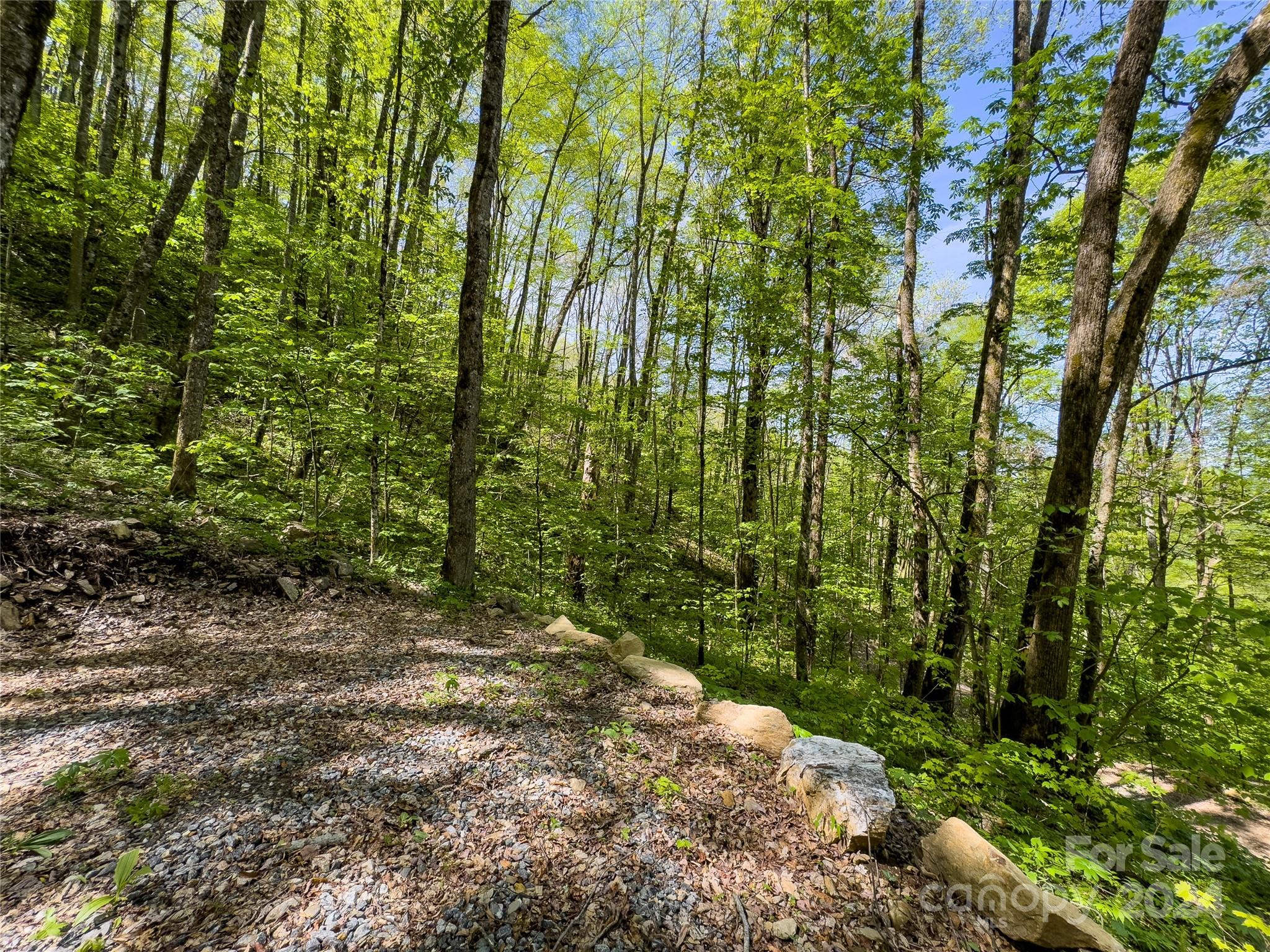 Lot 74 Black Rock Road, Unit 74 Cherokee, NC 28719 - Photo 12 of 24