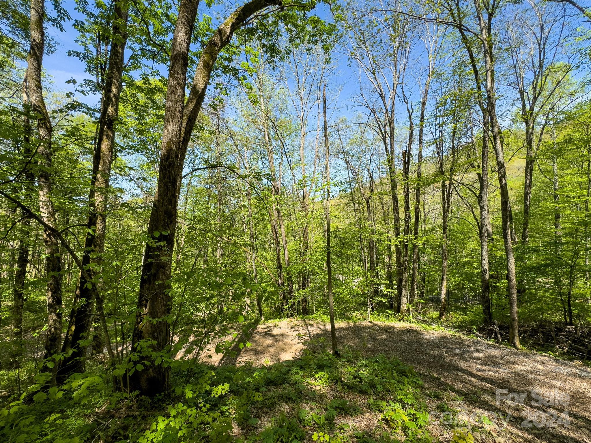 Lot 74 Black Rock Road, Unit 74 Cherokee, NC 28719 - Photo 13 of 24 a view of yard