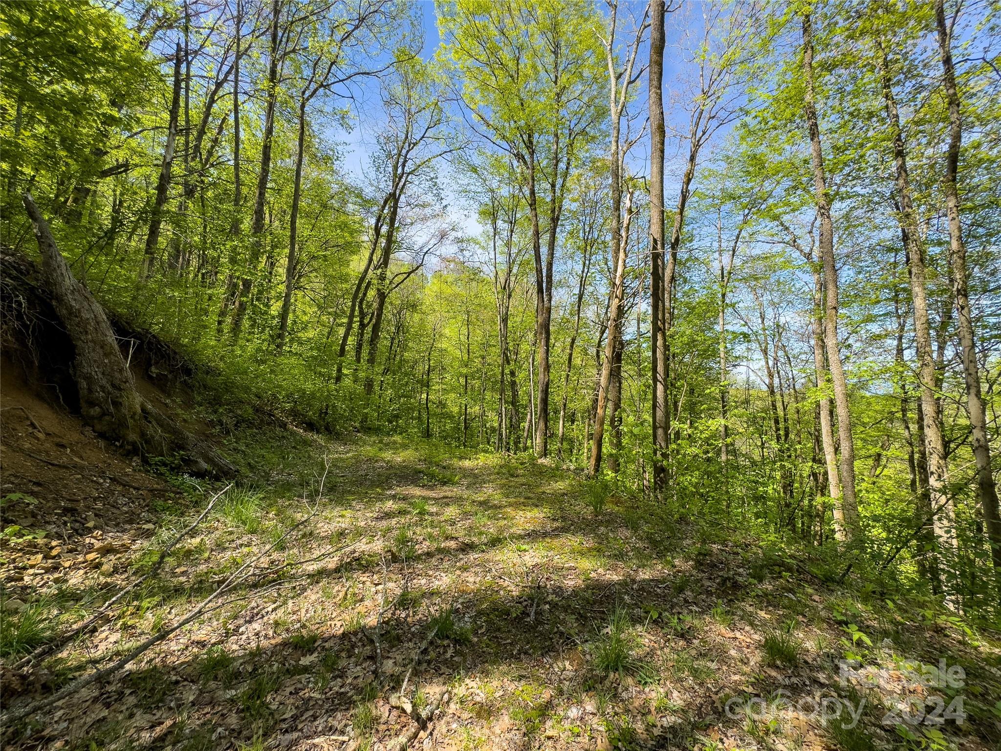 Lot 74 Black Rock Road, Unit 74 Cherokee, NC 28719 - Photo 18 of 24 a view of yard
