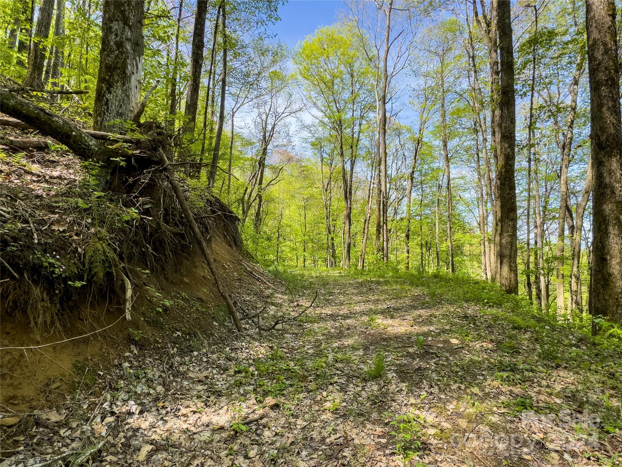 Lot 74 Black Rock Road, Unit 74 Cherokee, NC 28719 - Photo 20 of 24 a view of garden