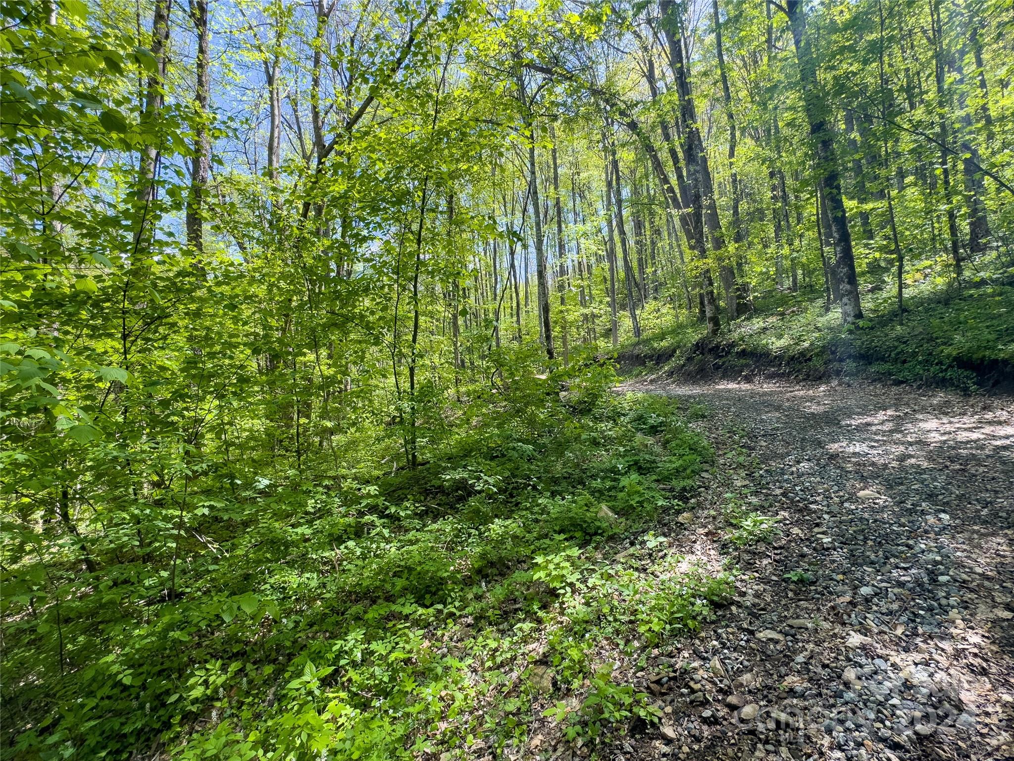 Lot 74 Black Rock Road, Unit 74 Cherokee, NC 28719 - Photo 2 of 24 a backyard of a house with lots of green space