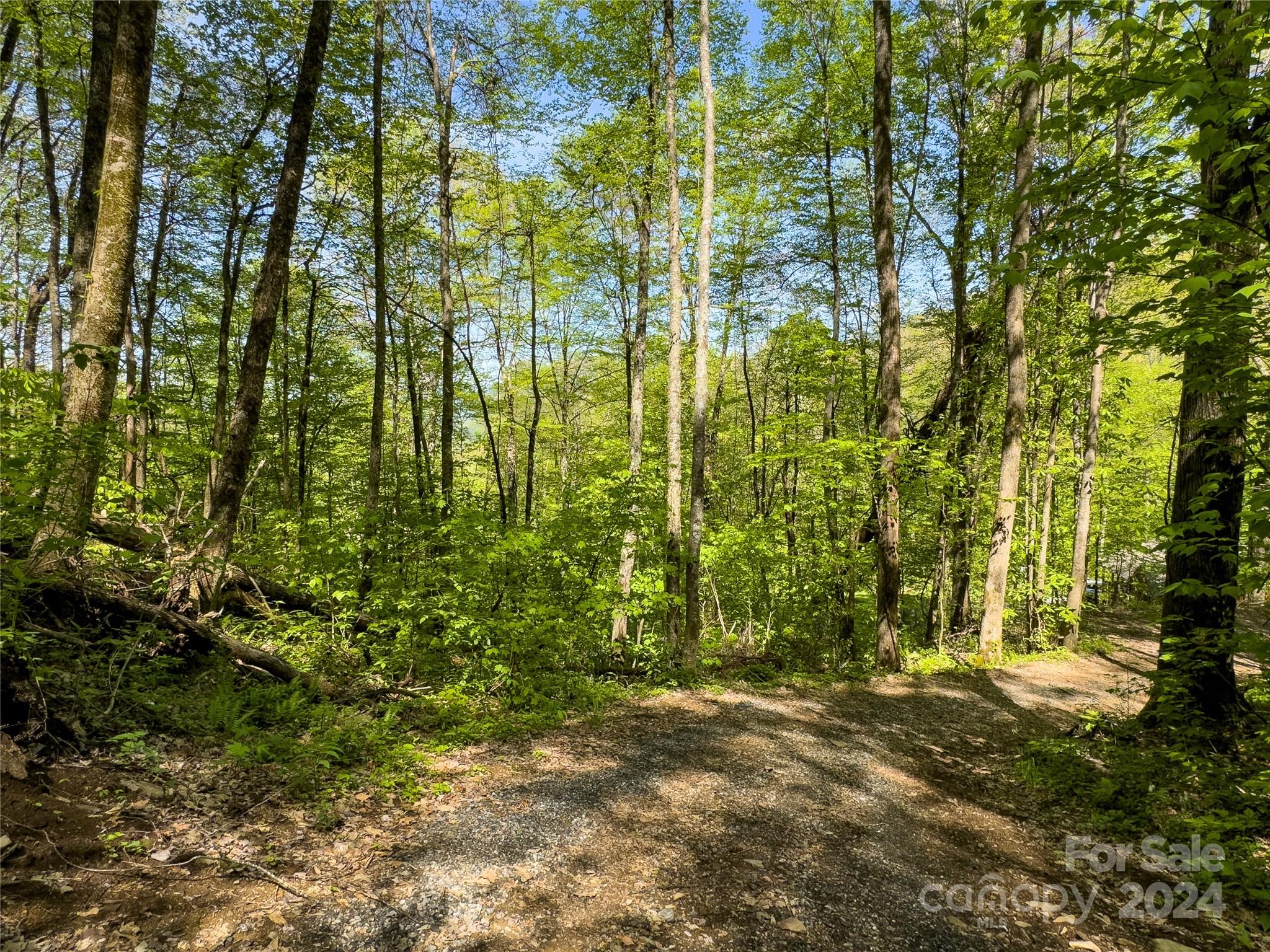 Lot 74 Black Rock Road, Unit 74 Cherokee, NC 28719 - Photo 21 of 24 a view of outdoor space and a yard