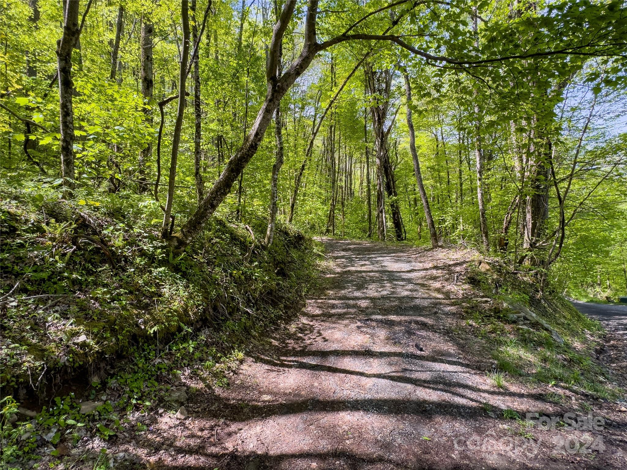 Lot 74 Black Rock Road, Unit 74 Cherokee, NC 28719 - Photo 24 of 24 a view of backyard with green space