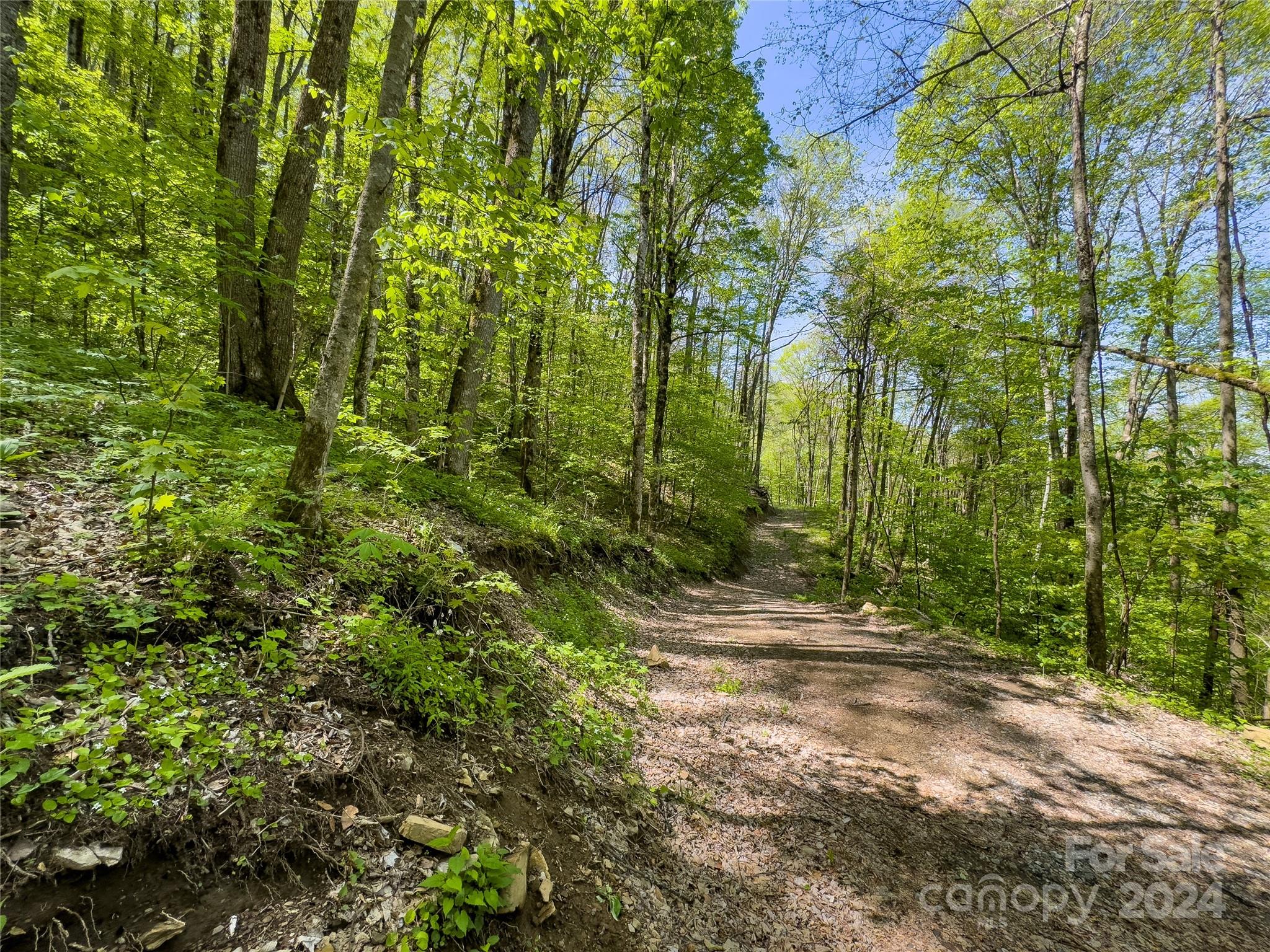 Lot 74 Black Rock Road, Unit 74 Cherokee, NC 28719 - Photo 3 of 24 a view of outdoor space and trees