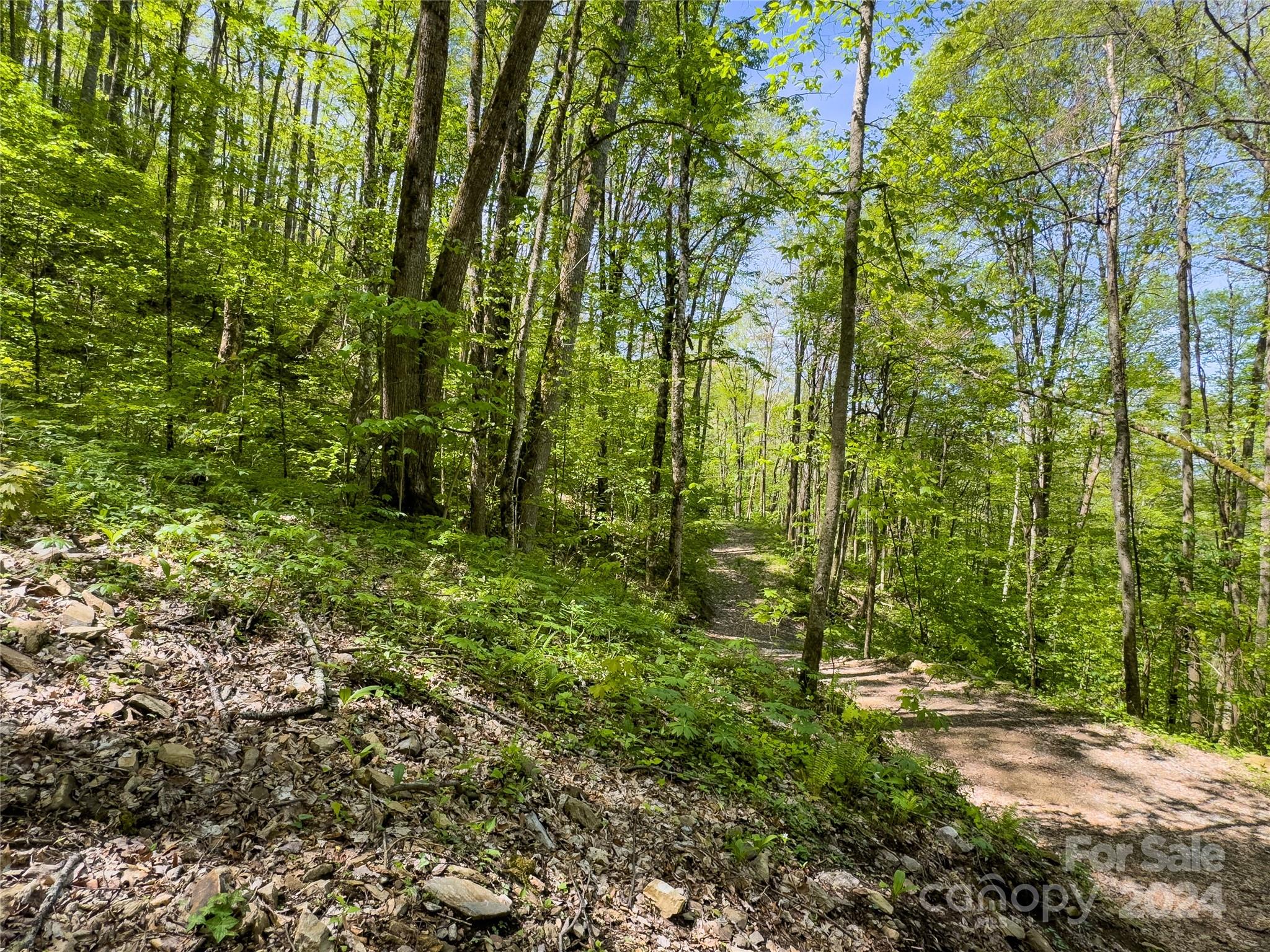 Lot 74 Black Rock Road, Unit 74 Cherokee, NC 28719 - Photo 4 of 24 a view of a garden