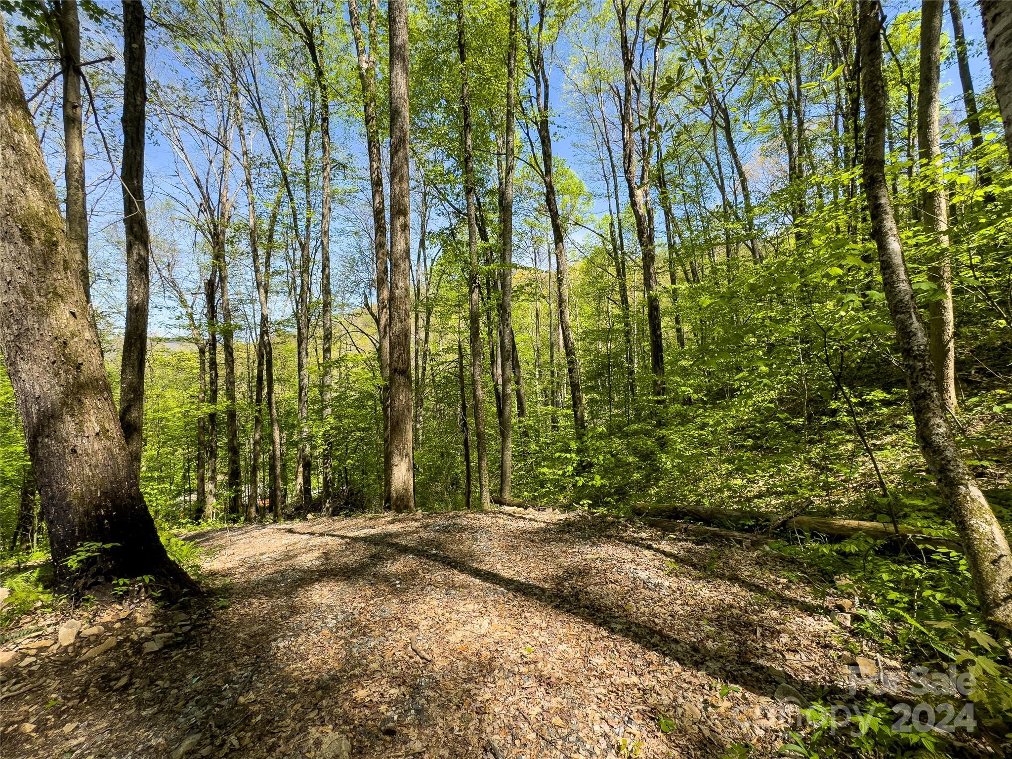 Lot 74 Black Rock Road, Unit 74 Cherokee, NC 28719 - Photo 5 of 24 a view of backyard with green space