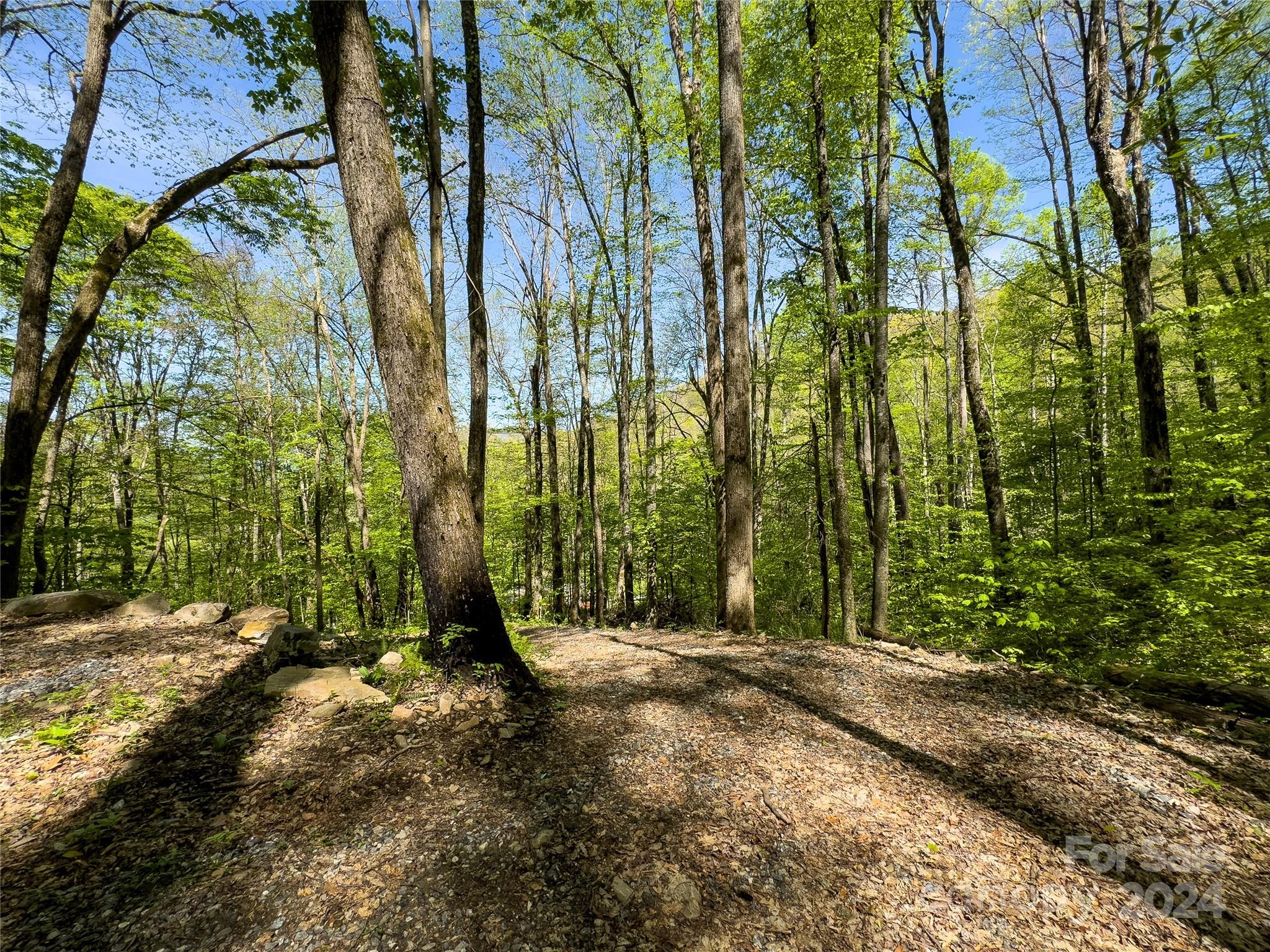 Lot 74 Black Rock Road, Unit 74 Cherokee, NC 28719 - Photo 7 of 24 a view of backyard with green space