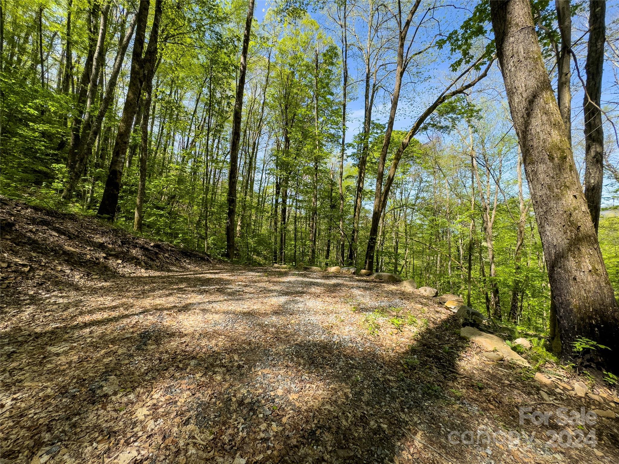 Lot 74 Black Rock Road, Unit 74 Cherokee, NC 28719 - Photo 8 of 24 a view of a yard with large trees