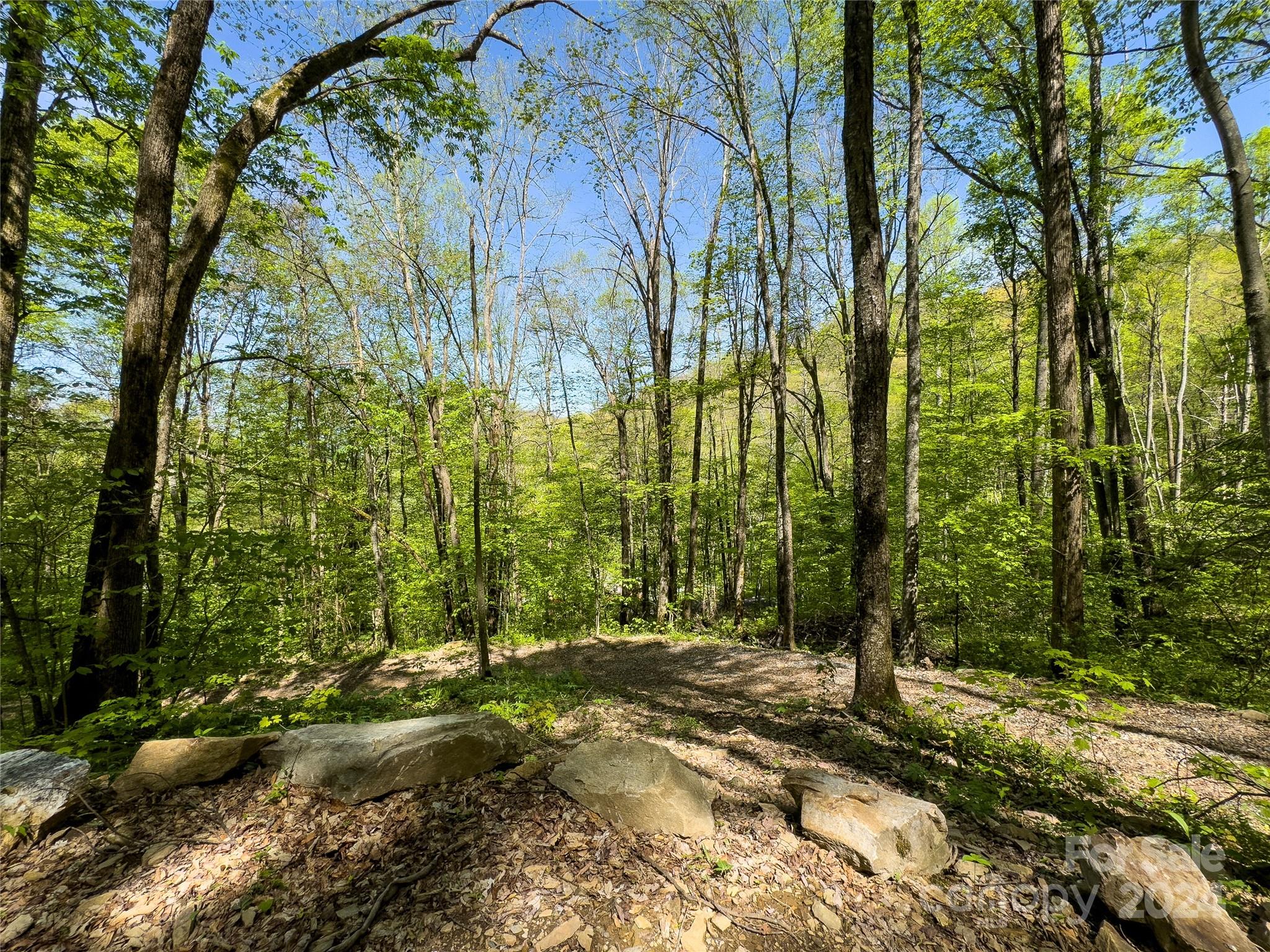 Lot 74 Black Rock Road, Unit 74 Cherokee, NC 28719 - Photo 10 of 24 a view of a yard with plants and trees