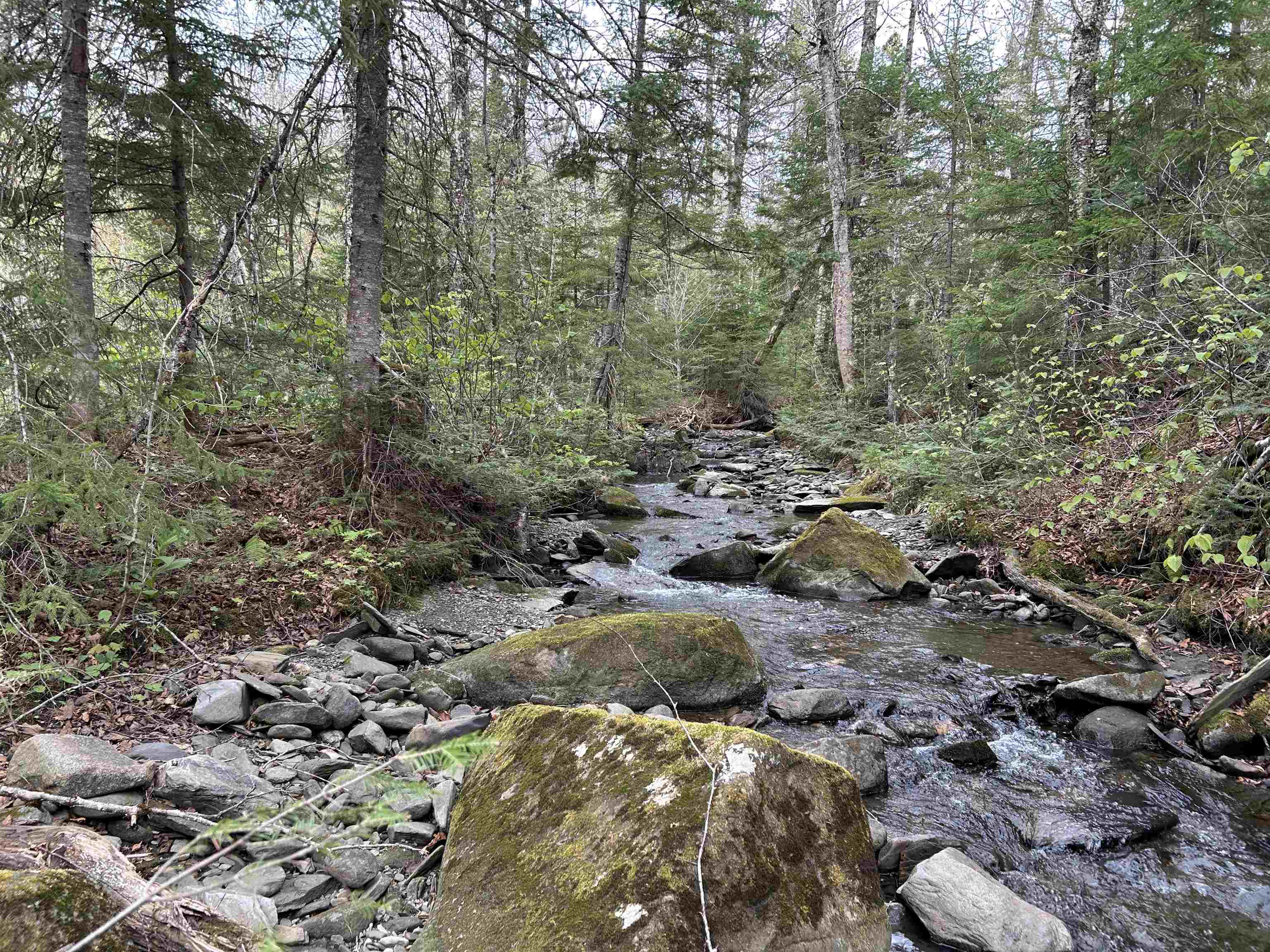 Mapb2-lot16 Dead Water Road Stewartstown, NH 03576 - Photo 5 of 31