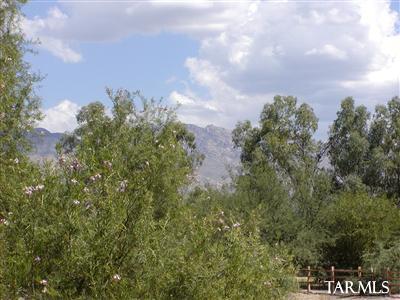 4478 East Kleindale Road Tucson, AZ 85712 - Photo 7 of 14 Gallery Image 7