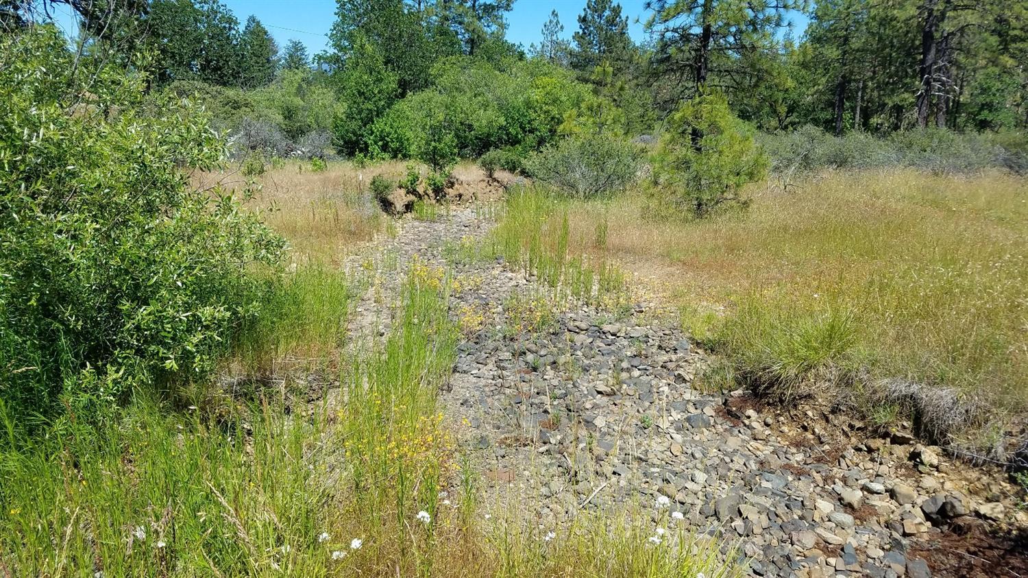 6837 West Side Road Cave Junction, OR 97523 - Photo 19 of 35 More open area - seasonal creek area.