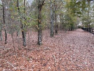 7.8-acres Deer Stand Road Wagener, SC 29164 - Photo 5 of 14