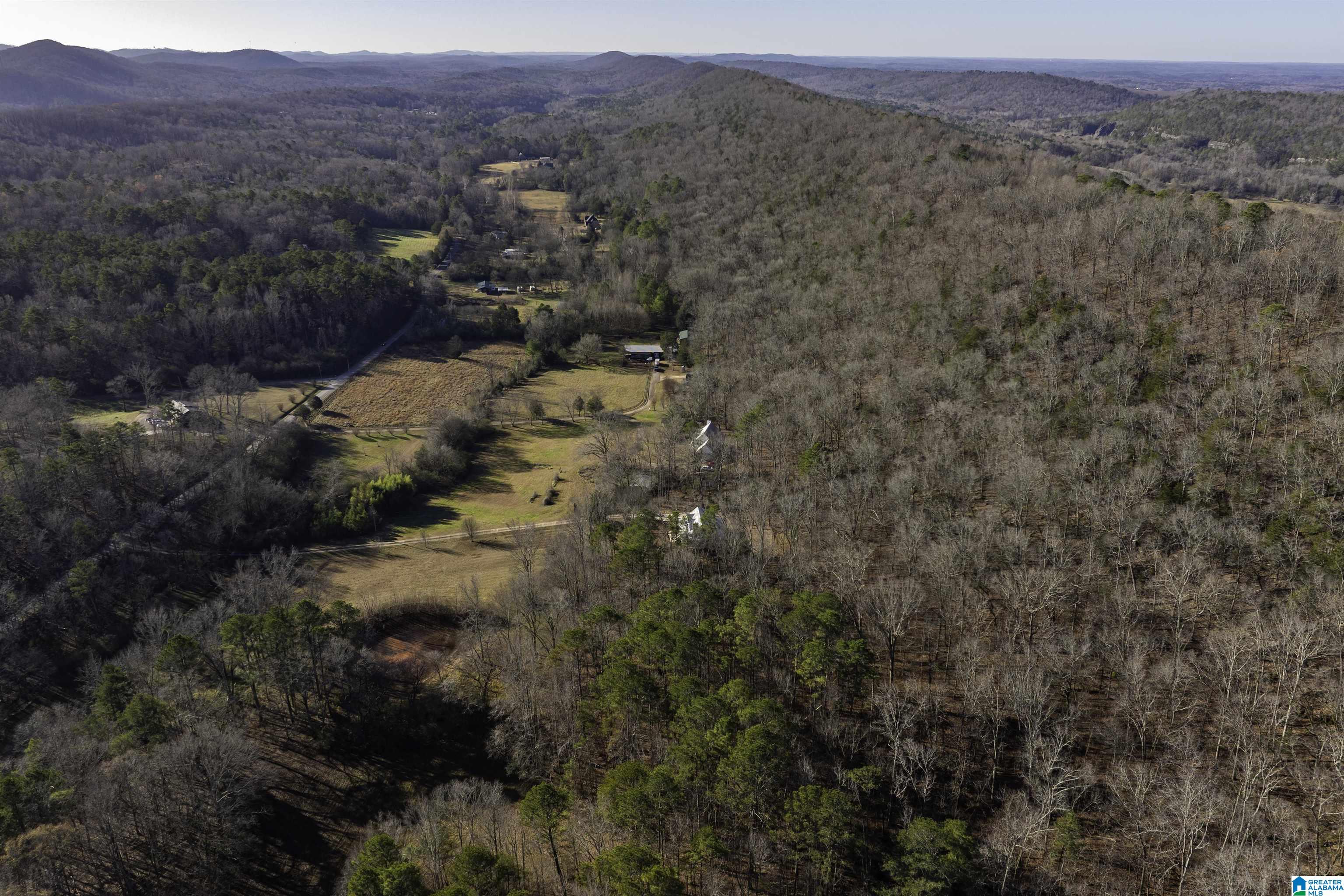 1775 Red Valley Road Remlap, AL 35133 - Photo 43 of 56