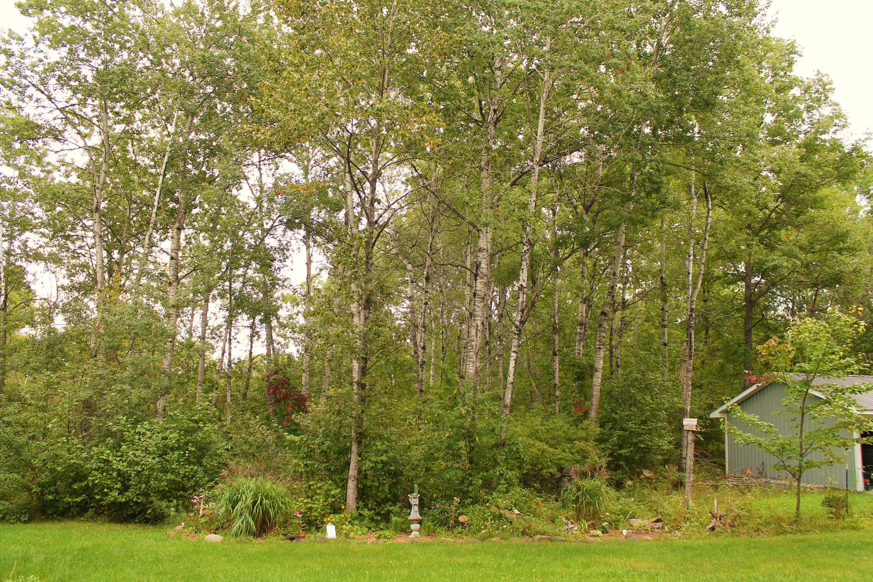 12770 Kohlman Road Atlanta, MI 49709 - Photo 47 of 65 Gallery Image 47