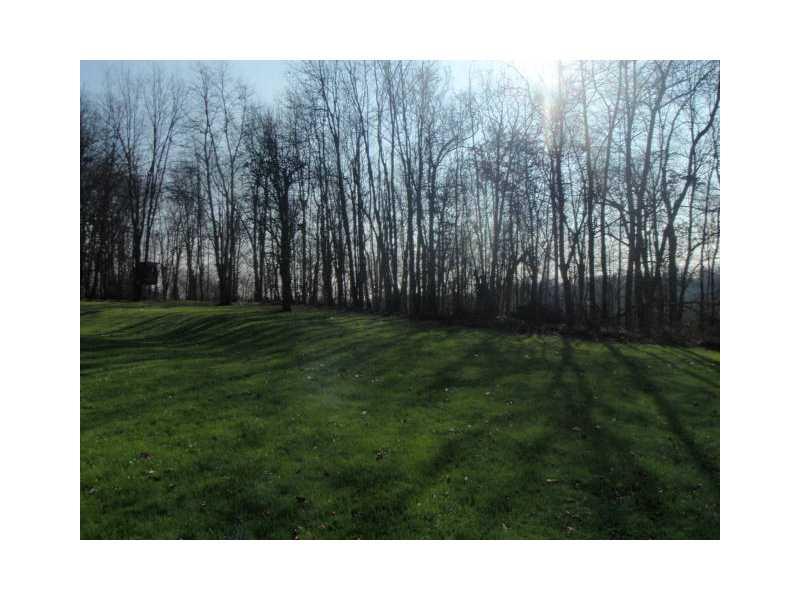 220 Riemer Road Sarver, PA 16055 - Photo 4 of 24 Land.