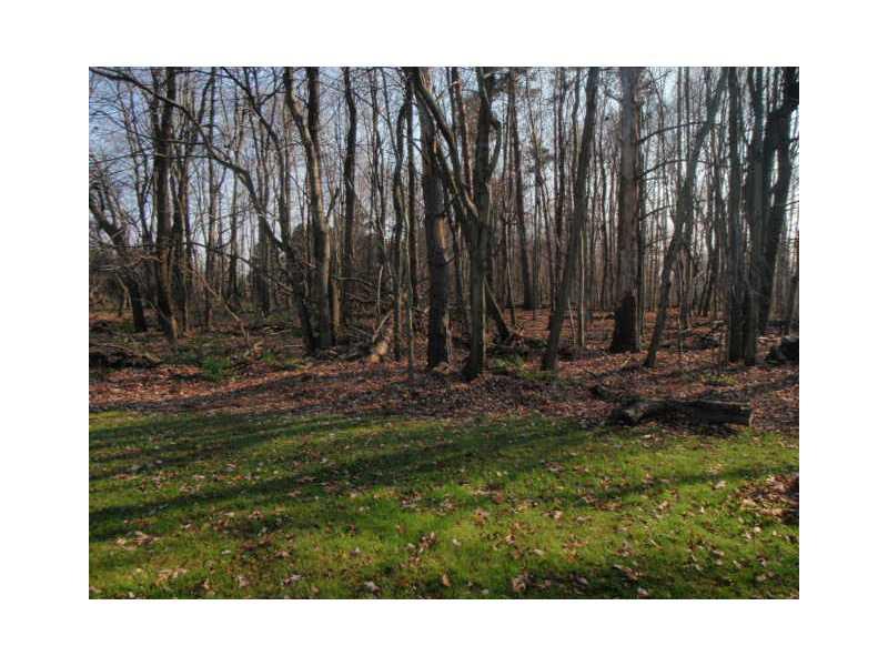 220 Riemer Road Sarver, PA 16055 - Photo 5 of 24 Land. BACK OF LOT WOODED