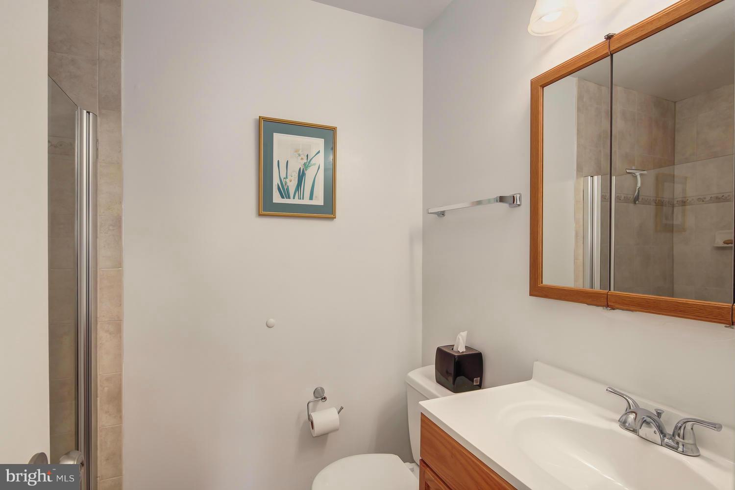 9900 Vale Road Vienna, VA 22181 - Photo 13 of 24 Bath (Master)