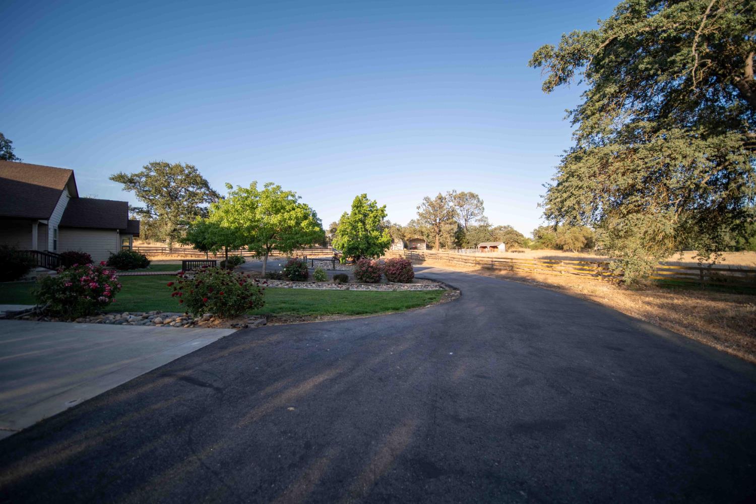 26027 Auberry Road Clovis, CA 93619 - Photo 9 of 46 a view of a yard with plants and trees