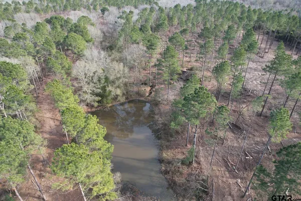 a aerial view of a forest with lots of trees