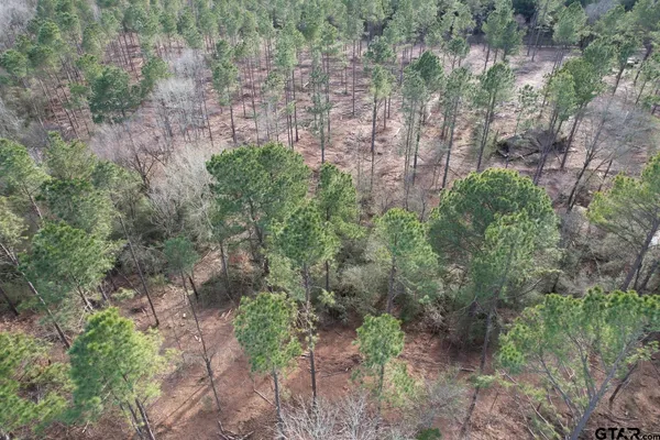 a view of a plants with lots of trees