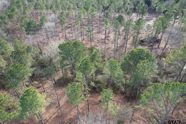 $116,250 | 4037 County Road 4037, Timpson, TX 75975