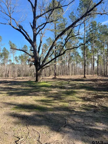 $116,250 | 4037 County Road 4037, Timpson, TX 75975