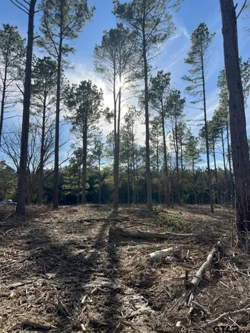 $116,250 | 4037 County Road 4037, Timpson, TX 75975