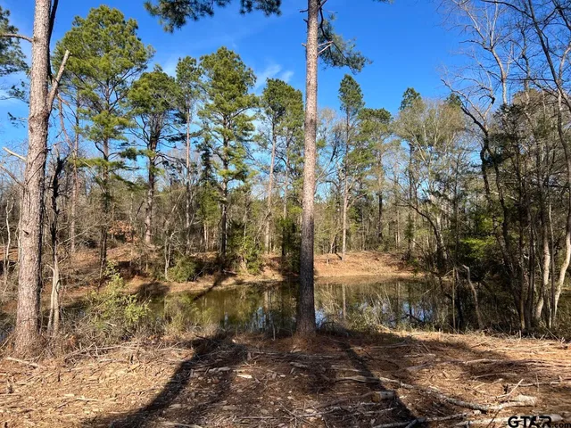 $116,250 | 4037 County Road 4037, Timpson, TX 75975