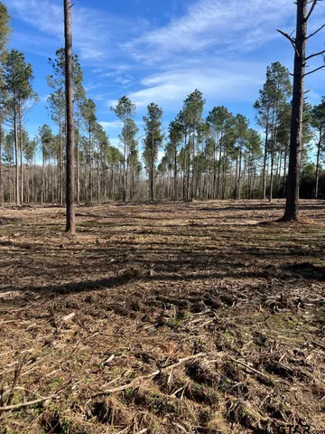 $116,250 | 4037 County Road 4037, Timpson, TX 75975