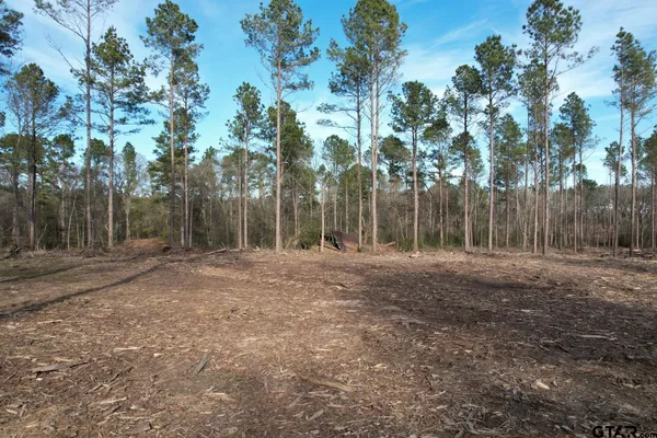 a view of a backyard with large trees