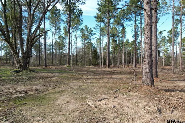 a backyard of a house with large trees and a wooden fence