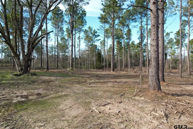 $116,250 | 4037 County Road 4037, Timpson, TX 75975