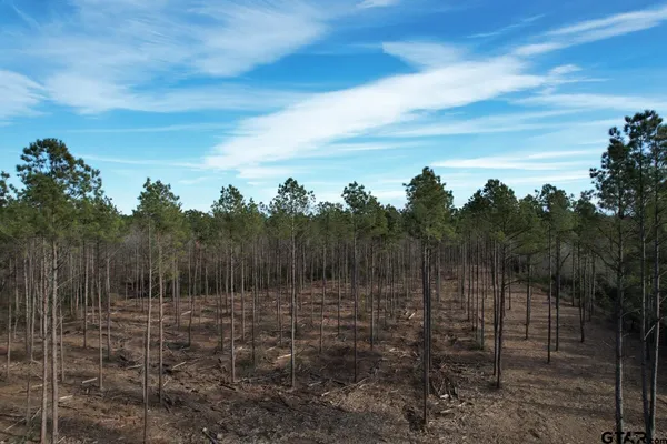 a view of a yard with sitting area