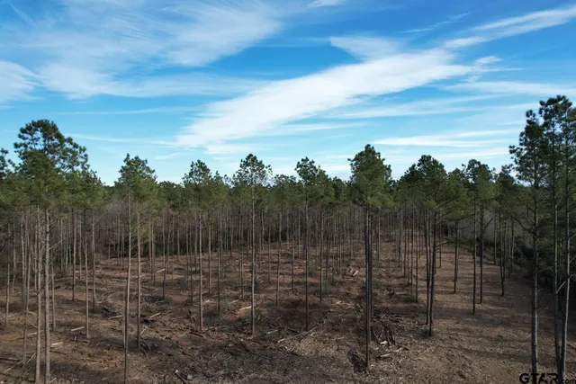 $116,250 | 4037 County Road 4037, Timpson, TX 75975