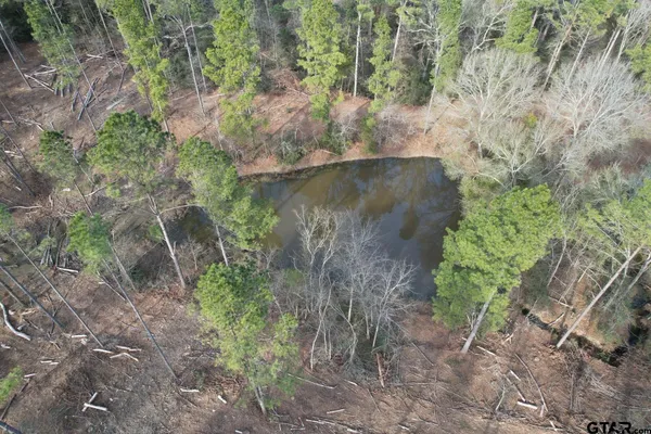 a view of a lake with a forest
