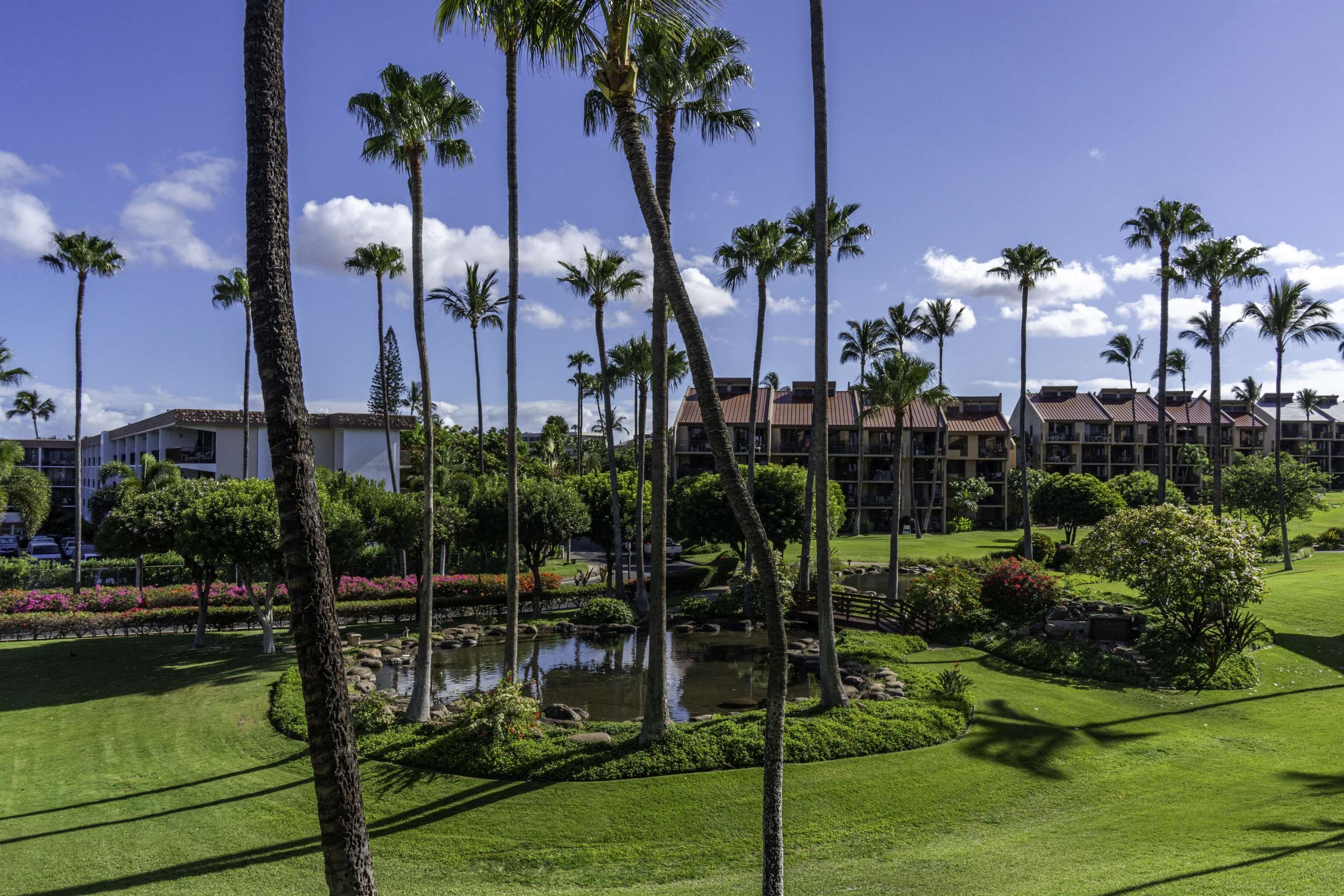 2695 South Kihei Road, Unit 10203 Kihei, HI 96753 - Photo 20 of 50