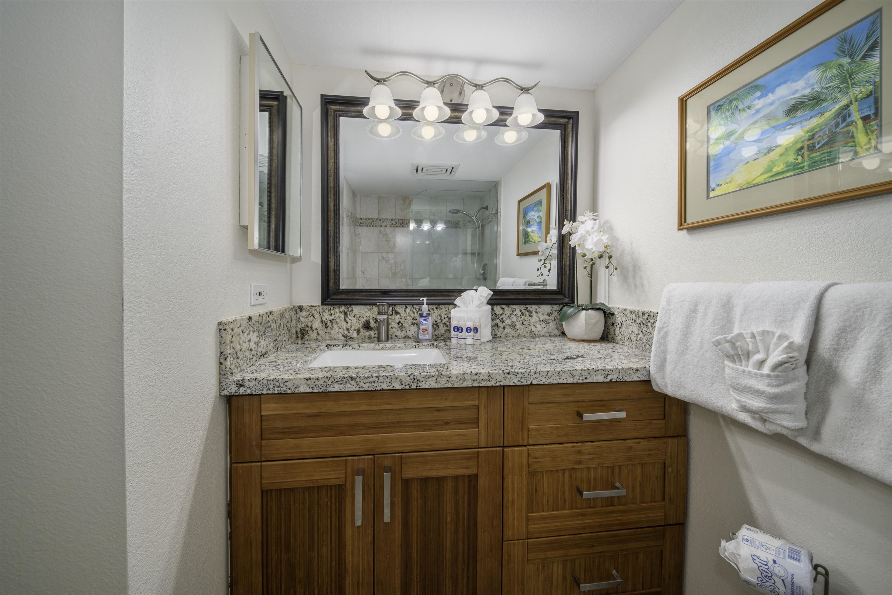 2695 South Kihei Road, Unit 10203 Kihei, HI 96753 - Photo 28 of 50