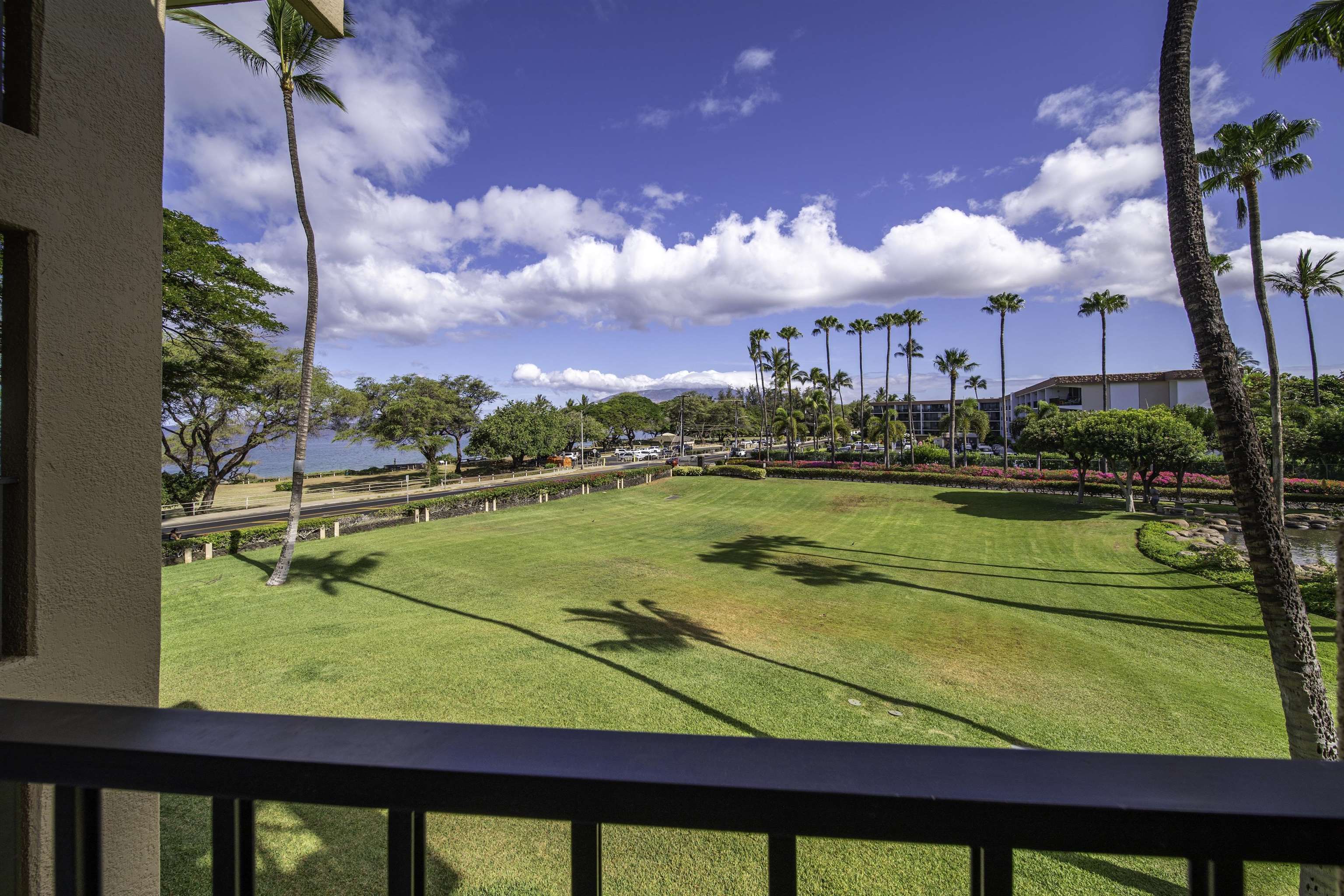 2695 South Kihei Road, Unit 10203 Kihei, HI 96753 - Photo 38 of 50
