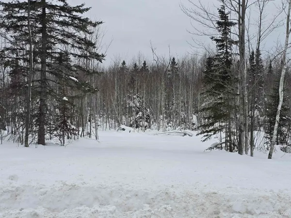 $35,400 | 2 Townline Road, Lanse, MI 49946