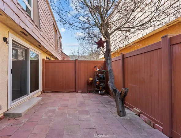 a view of a backyard with a large tree