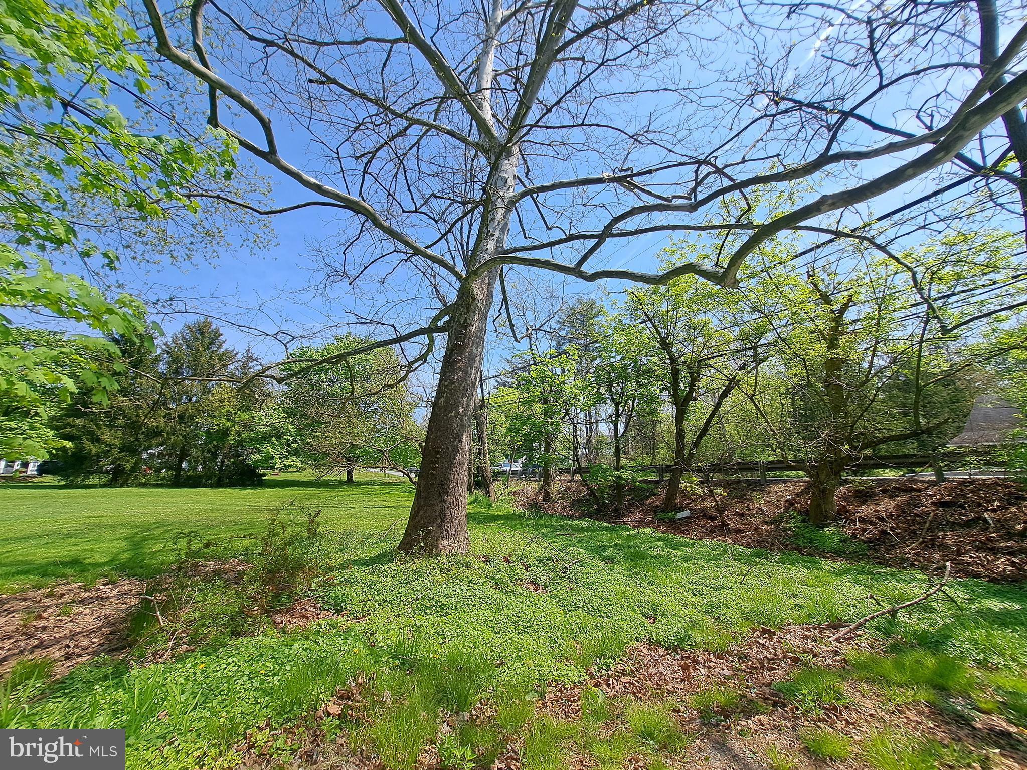 1703 South Collegeville Road Collegeville, PA 19426 - Photo 1 of 15 a view of a yard with a tree